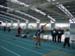 Hallensportfest