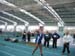 Hallensportfest