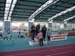 Hallensportfest