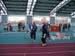 Hallensportfest